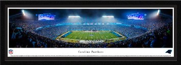 Carolina Panthers - 50 Yard Line at Bank Of America Stadium - Panoramic Print