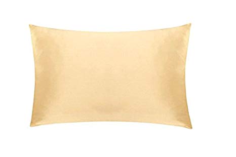 Soft Silker Silk Pillowcase Both Side 100% 19MM Natural Mulberry Charmeuse for Hair & Facial Beauty with Hidden Zipper (Queen, Light Yellow)