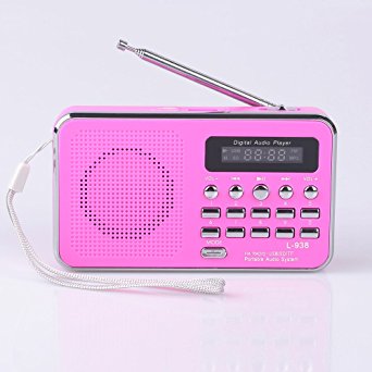 Mfine Portable Mini USB FM Radio Speaker Music Player TF Card For PC iPod Phone (938 Pink)