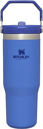 Stanley IceFlow™ Flip Straw Tumbler 30oz Iris