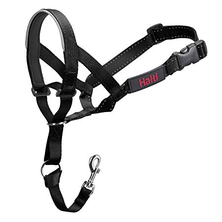 Halti Head Collar, Head Halter Collar for Dogs, Head Collar to Stop Pulling for Small Dogs