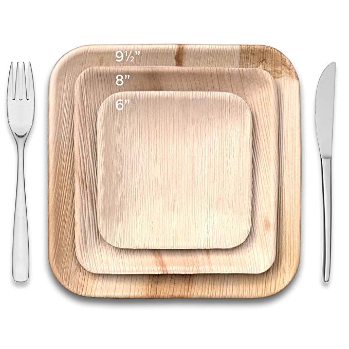 Thynk Palm Leaf Plates - 6 Inch Square - All Natural 100% Biodegradable and Compostable - Disposable Dinnerware - Perfect Party Plates - 20 Count