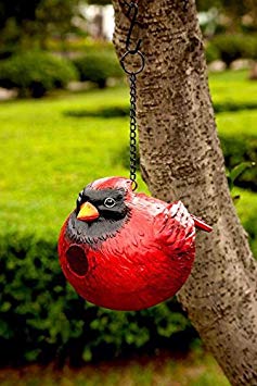 Portly Cardinal Hanging Birdhouse