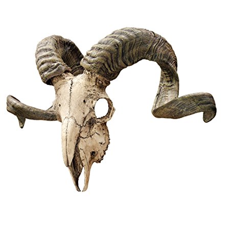 Design Toscano Corsican Ram Skull and Horns Wall Trophy