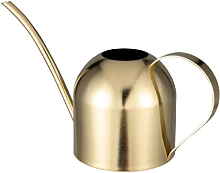 IMEEA 33oz/1L Small Indoor Watering Can for House Plants Stainless Steel Watering Pot with Long Spout (Gold)
