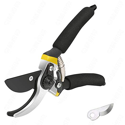 Pruning Shears Professional 8’’ Sharp Bypass Hand Pruners Garden Shears Garden Clippers Tree Trimmers Secateurs with Sponge Handle Safety Lock Protector and Replacement Blades for Pruning Shears