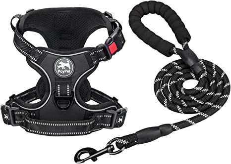 PoyPet Dog Harness and Leash Combo, Escape Proof No Pull Vest Harness, with 5 Feet Leash, Reflective Adjustable Soft Padded Pet Harness with Handle for Small to Large Dogs(Black,XL)