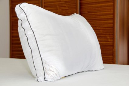 Hotel Quality Down Alternative Pillow by Duck and Goose Co with Grey Piping Pattern One Pack Standard