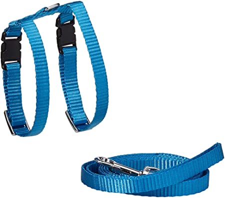 Marshall Ferret Harness and Lead
