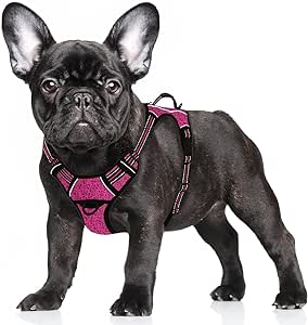 BARKBAY No Pull Dog Harness Large Step in Reflective Dog Harness with Front Clip and Easy Control Handle for Walking Training Running with ID tag Pocket(Pink/Black,S)