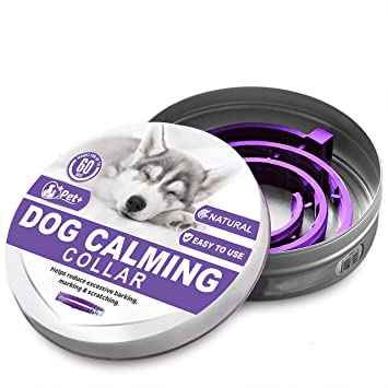 PETPLUS Dog Calming Collar for Dogs | A Paw-FECT Dog-Calming Aid | Calming Dog Collar for Your Canine Pet | 2-Month Protection, 1 Collar