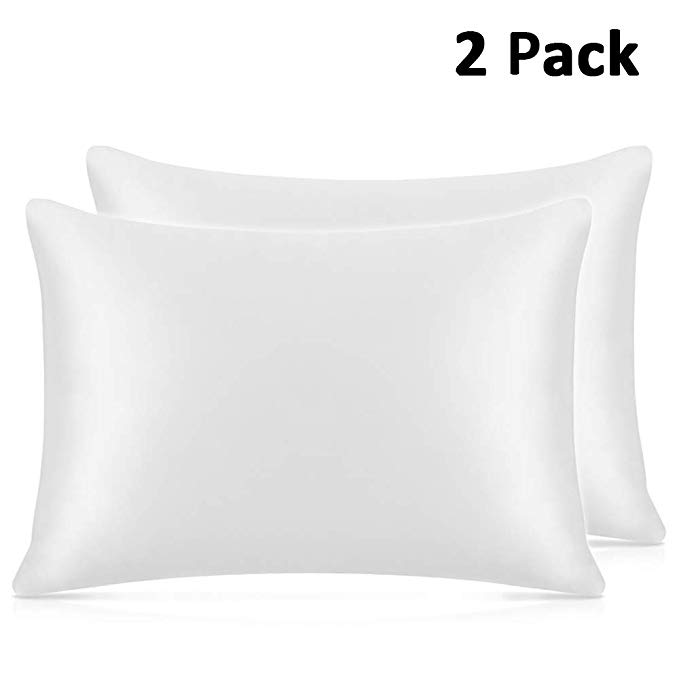 Adubor Silk Satin Pillowcase 2 Pack Silky Pillow Cases for Hair and Skin, Hypoallergenic Anti-Wrinkle, Super Soft and Luxury Pillow Cases Covers with Envelope Closure (White, 20x30)