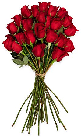Benchmark Bouquets 2 Dozen Red Roses, No Vase (Fresh Cut Flowers)
