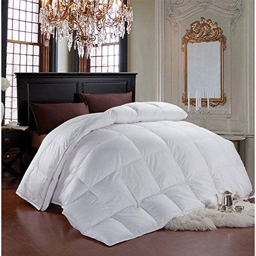 Cheer Collection Luxurious Duvet Insert | Super Plush Goose Down Alternative Twin Size White Comforter - 68" x 88"