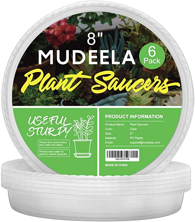 MUDEELA 6 Pack of 8 inch Plant Saucer, Durable Plastic Plant Trays for Indoors, Clear Plastic Flower Plant Pot Saucer, Made of Thicker, Stronger Plastic, with Taller Design