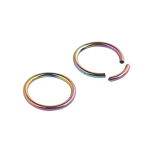 Ruifan Pair of Rainbow Seamless Septum Clicker Ring Lip Helix Tragus Cartilage Earrings Nose Rings Pirecing 16g 14g