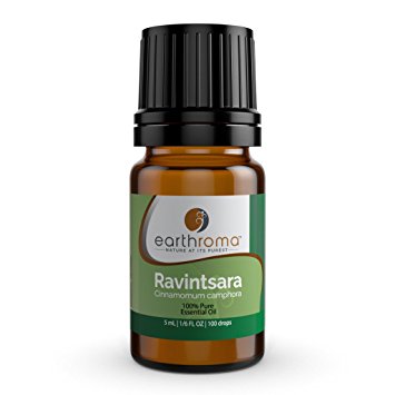 Earthroma Ravintsara Essential Oil, 5ml (1/6 OZ.) 100% Pure, Undiluted, Therapeutic Grade