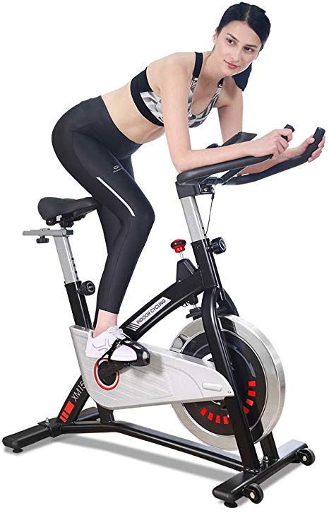JOROTO Magnetic Resistance Exercise Bike Stationary Belt Drive Indoor Cycling Bikes Trainer Workout Cycle for Home