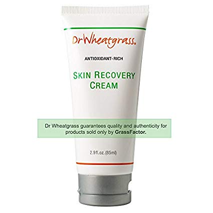 Dr Wheatgrass Antioxidant Skin Recovery Cream 85ml(2.87fl.oz.) - Unique and Powerful Natural Healing Cream That Works Great for Fissure, Eczema, Acne, Aging, and More