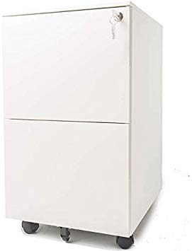 Pemberly Row 15.4" Wide 2 Drawer Metal Mobile File Cabinet with Lockable Drawers and Wheels in White, Letter/Legal Size