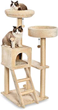 AmazonBasics Cat Tree with Platform, X-Large Sizes (Renewed)