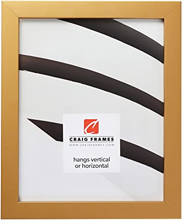 Craig Frames Confetti, Modern Gold Picture Frame, 24 x 36 Inch