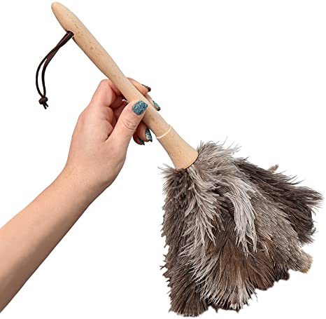 Home-X Ostrich Feather Duster, Wood Handle Duster