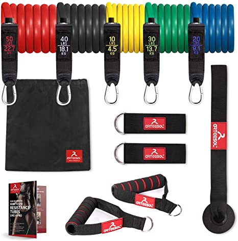 arteesol Resistance Bands Set - 12 pcs, Strength Exercise Bands Strackable Up to 150 lbs, Elastic Fitness Workout Bands with Door Anchor,Handles, Ankle Straps, Carrying Pouch and Workout Guides,for Home Muscle Build,Gym,Yoga