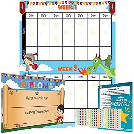 Potty Training Chart - Reward Sticker Chart - Dragon Theme - Marks Behavior Progress – Motivational Toilet Training for Toddlers and Children – Great for Boys and for Girls (Boys Theme)