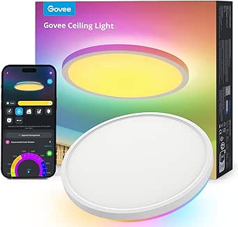 Govee Smart Ceiling Light, RGBIC LED Ceiling Light Fixture, 2400LM Flush Mount Light Fixture, 16 Million DIY Colors, Works with Alexa, 2200K-6500K Ceiling Lights for Bedroom, Living Room, 12 Inch