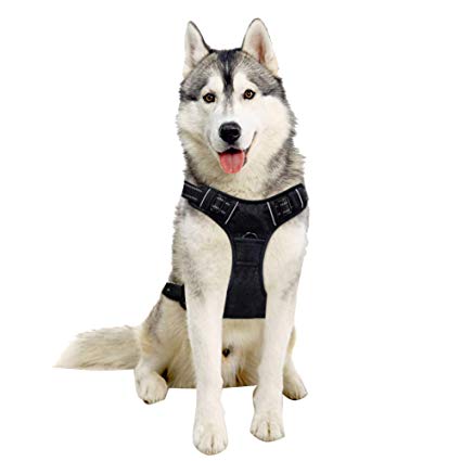 TAIL UP Dog Harness - Adjustable No-Pull Reflective Pet Harness Mesh Vest, Easy On/Off Mesh Harness Small Medium Large Dogs - Easy Control in Walking Hiking Training