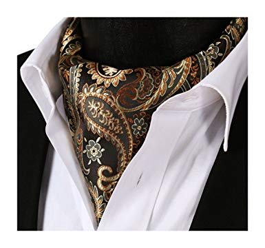 HISDERN Men's Paisley Floral Jacquard Woven Self Cravat Tie Ascot