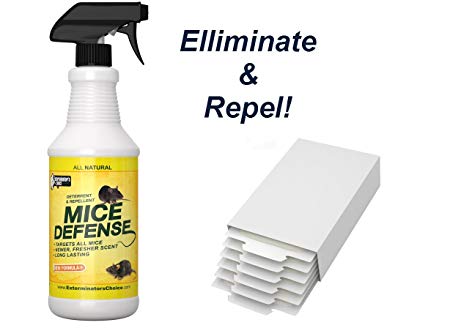 Exterminators Choice Mice Defense Repellent & Elimination Spray Kit- Deterrent All Natural- Includes 6 Glue Boards Rodent Defense
