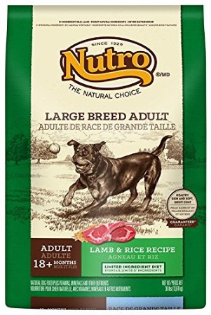 Nutro Standard Dry Dog Food