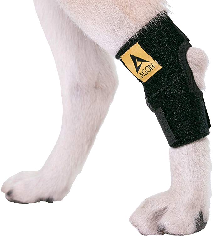 Agon Dog Canine Rear Hock Joint Brace Compression Wrap with Straps Dog for Back Leg Protects Wounds. Heals Prevents Injuries and Sprains Helps with Loss of Stability Caused by Arthritis