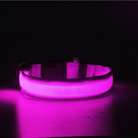 Nylon Pet Dog Collar Night Safety LED Light-up Flashing Glow in the Dark Lighted Circular Pendant Collar