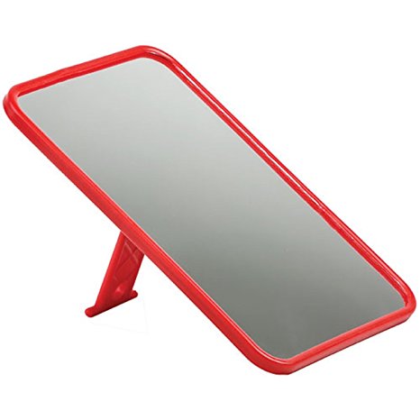 Coleman Camp Mirror