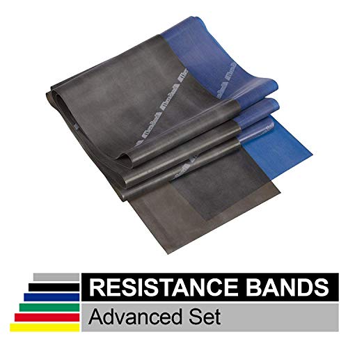 TheraBand Resistance Band Set, Professional Latex Elastic Bands for Upper & Lower Body & Core Exercise, Physical Therapy, Lower Pilates, at-Home Workouts, and Rehab, Blue & Black, Advanced