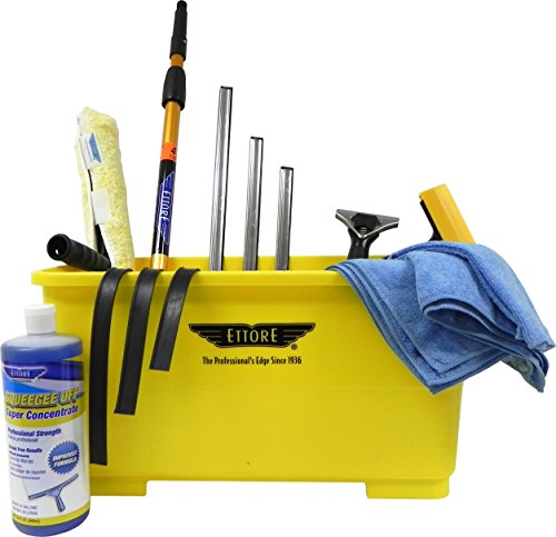 Ettore Professional Window Cleaning Kit with 4' Extension Pole