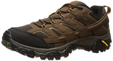 Merrell Men's Moab 2 GTX Hiking Shoe,