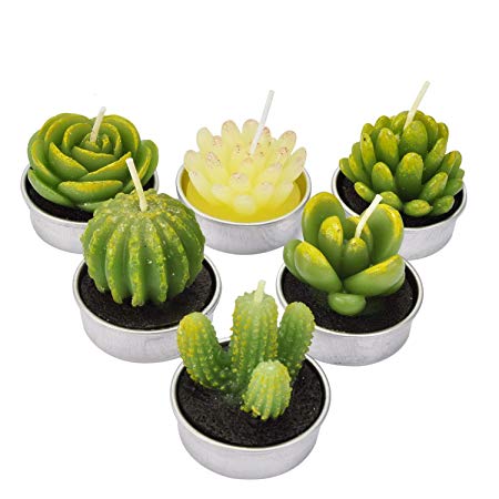 LA BELLEFÉE Cactus Tealight Candle Succulent Cactus Candle Gift Set Handmade Delicate Smokeless Cute Green Plant for Party Wedding Spa Home Decoration Gifts 6 Packs Gift