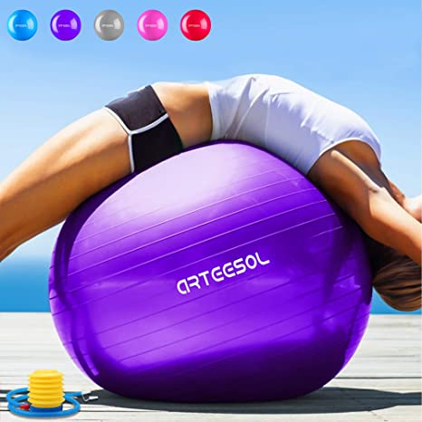 Arteesol Exercise Ball 45cm / 55cm / 65cm / 75cm Anti-burst Anti-slip Yoga Swiss Ball Birthing Ball Quick Pump Fitness Gym Yoga Pilates Core Training Physical Therapy