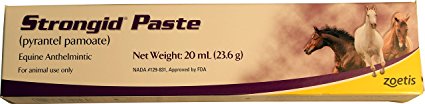Pfizer Strongid Dewormer Paste for Horses, 23.6gm