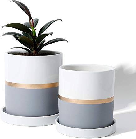 POTEY Cylinder Ceramic Plant Pot - 4.9 & 3.9 Inch Planters with Grey Golden Detailing for Indoor Plants Flower Succulent with Drainage Hole & Saucer, Set of 2