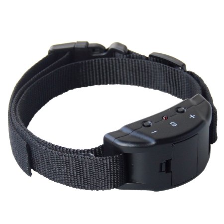 Dog Bark Collar Innoo Tech - Bark Control Pro - The Quick and Effective Small and Large Breed Shock Collar - Adjustable Sensitivity - Seven Levels of Feedback