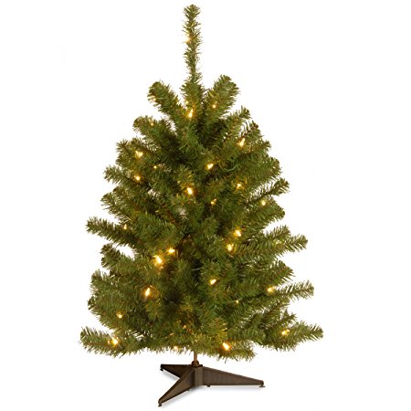 National Tree 3 Foot Eastern Spruce Tree with 50 Clear Lights (ES-30LO-1)