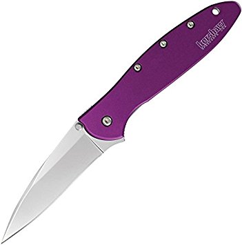 Kershaw Leek Knife