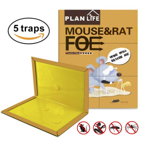 Easy Gift Rat Trap Mouse Glue Traps Mice Rodent Sticky Boards Insects Pest Snare Traps (5 Pcs)