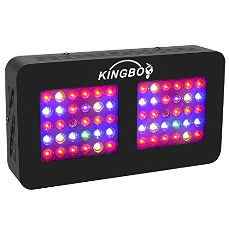 KINGBO Dual Optical Lens-Series 300W LED Grow Light Full Spectrum for Indoor Plants VEG and Bloom（Two Switch, 12-Bands）