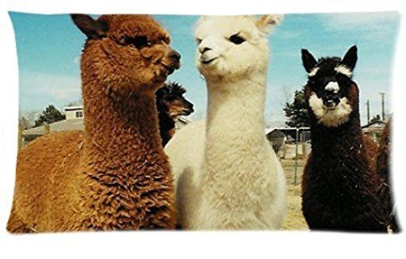 Llama We Are Friends Pillowcase 20x36 (one side) Custom Rectangle Pillow Cover Cases